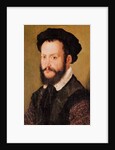 Portrait of a Man with Brown Hair, c.1560 by Corneille de Lyon