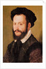 Portrait of a Man with Brown Hair, c.1560 by Corneille de Lyon