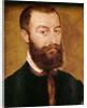 Portrait of a Man with a Beard or, Portrait of a Man with Brown Hair by Corneille de Lyon