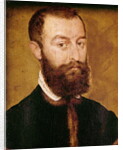 Portrait of a Man with a Beard or, Portrait of a Man with Brown Hair by Corneille de Lyon