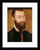Portrait of a Man with a Beard or, Portrait of a Man with Brown Hair by Corneille de Lyon