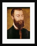 Portrait of a Man with a Beard or, Portrait of a Man with Brown Hair by Corneille de Lyon