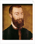 Portrait of a Man with a Beard or, Portrait of a Man with Brown Hair by Corneille de Lyon