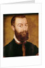 Portrait of a Man with a Beard or, Portrait of a Man with Brown Hair by Corneille de Lyon