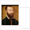 Portrait of a Man with a Beard or, Portrait of a Man with Brown Hair by Corneille de Lyon