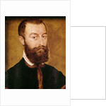 Portrait of a Man with a Beard or, Portrait of a Man with Brown Hair by Corneille de Lyon