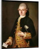Portrait of a Gentleman with a Rose Buttonhole by Pietro Longhi