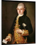 Portrait of a Gentleman with a Rose Buttonhole by Pietro Longhi