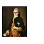 Portrait of a Gentleman with a Rose Buttonhole by Pietro Longhi