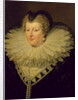 Marie de Medici, c.1617 by French School