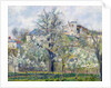 The Vegetable Garden with Trees in Blossom, Spring, Pontoise, 1877 by Camille Pissarro