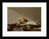 Vanitas by Jan Davidsz. de Heem