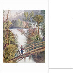 Itamaraty Waterfall in the Serra da Estrela by William Gore Ouseley