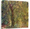 Weeping Willow, 1918-19 by Claude Monet