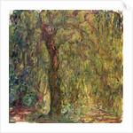 Weeping Willow, 1918-19 by Claude Monet