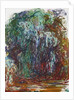 Weeping Willow, 1921-22 by Claude Monet