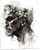 Head of a Satyr by Michelangelo Buonarroti