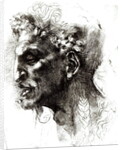 Head of a Satyr by Michelangelo Buonarroti