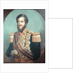 Pedro II Emperor of Brazil by Luis de Miranda Pereira Visconde de Menezes