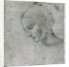 Head of a Young Woman or Head of the Virgin, c.1490 by Leonardo da Vinci