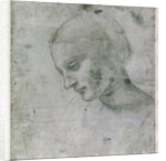 Head of a Young Woman or Head of the Virgin, c.1490 by Leonardo da Vinci