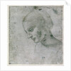 Head of a Young Woman or Head of the Virgin, c.1490 by Leonardo da Vinci