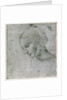 Head of a Young Woman or Head of the Virgin, c.1490 by Leonardo da Vinci