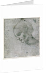 Head of a Young Woman or Head of the Virgin, c.1490 by Leonardo da Vinci
