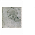 Head of a Young Woman or Head of the Virgin, c.1490 by Leonardo da Vinci