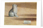 Vision of St. Augustine by Vittore Carpaccio