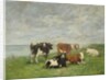 Pasture at the Seaside, c.1880-85 by Eugene Louis Boudin