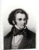 Portrait of Franz Schubert engraved by H. Roemer by Carl Jaeger