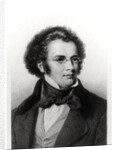 Portrait of Franz Schubert engraved by H. Roemer by Carl Jaeger
