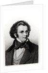 Portrait of Franz Schubert engraved by H. Roemer by Carl Jaeger