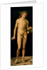 Adam, 1507 by Albrecht Dürer or Duerer