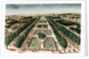 View of the Jardin des Plantes from the Cabinet d'Histoire Naturelle by French School