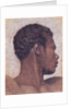 Head of a Negro by Theodore Gericault