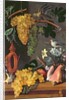 Still Life with Grapes, Birds, Flowers and Shells by Juan de Espinosa