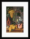 Still Life with Grapes, Birds, Flowers and Shells by Juan de Espinosa