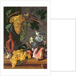 Still Life with Grapes, Birds, Flowers and Shells by Juan de Espinosa