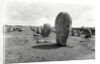 Alignment of Standing Stones, Megalithic, 4th-3rd millennium BC by Prehistoric Prehistoric