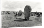 Alignment of Standing Stones, Megalithic, 4th-3rd millennium BC by Prehistoric Prehistoric