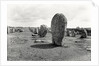 Alignment of Standing Stones, Megalithic, 4th-3rd millennium BC by Prehistoric Prehistoric