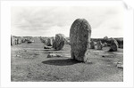 Alignment of Standing Stones, Megalithic, 4th-3rd millennium BC by Prehistoric Prehistoric