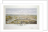 View of Paris from Bois de Boulogne, during the Universal Exhibition in 1867 by Hilaire Guesnu