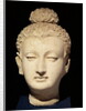 Head of a Buddha, Greco-Buddhist style, from Hadda by Afghan School