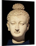 Head of a Buddha, Greco-Buddhist style, from Hadda by Afghan School