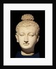 Head of a Buddha, Greco-Buddhist style, from Hadda by Afghan School