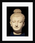 Head of a Buddha, Greco-Buddhist style, from Hadda by Afghan School