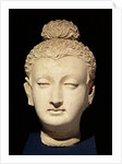 Head of a Buddha, Greco-Buddhist style, from Hadda by Afghan School